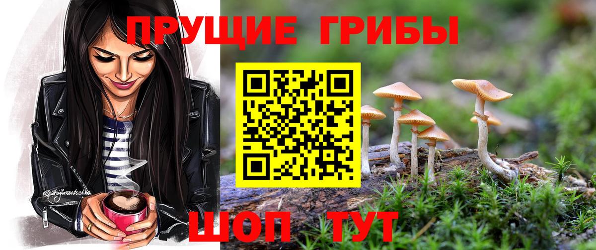 Галлюциногенные грибы GOLDEN TEACHER Дубна