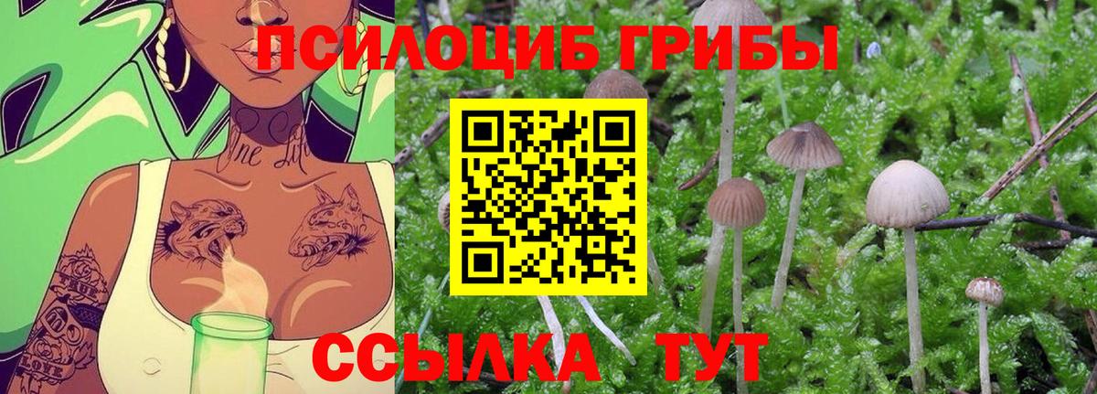 Галлюциногенные грибы GOLDEN TEACHER  Вход с VPN  Дубна  Галлюциногенные грибы GOLDEN TEACHER 